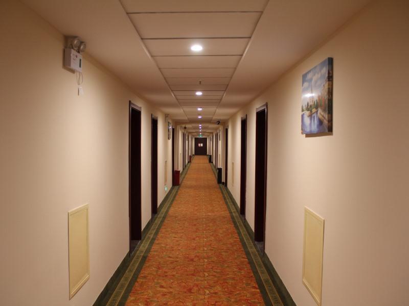 Greentree Inn Henan Qinyang Middle Huaifu Road Express Hotel Exteriör bild